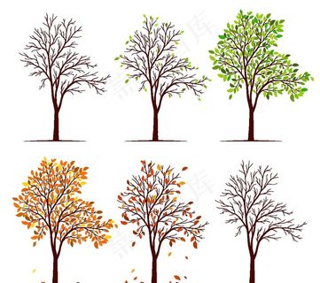 大树图片 矢量树