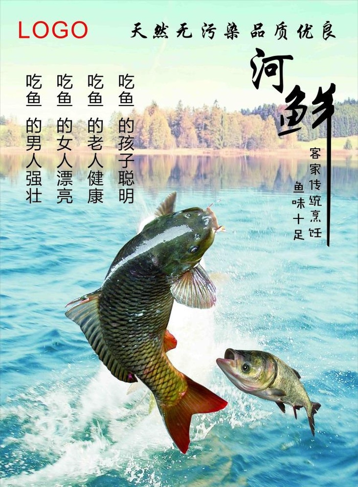 跳水鱼图片