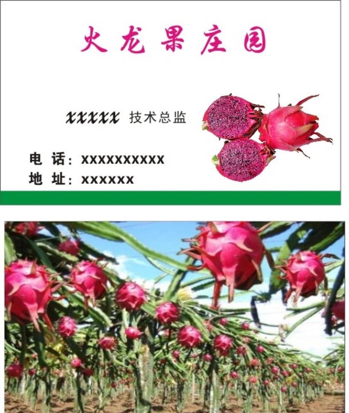 火龙果庄园图片cdr矢量模版下载