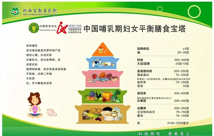 中国哺乳期妇女平衡膳食宝塔图片cdr矢量模版下载