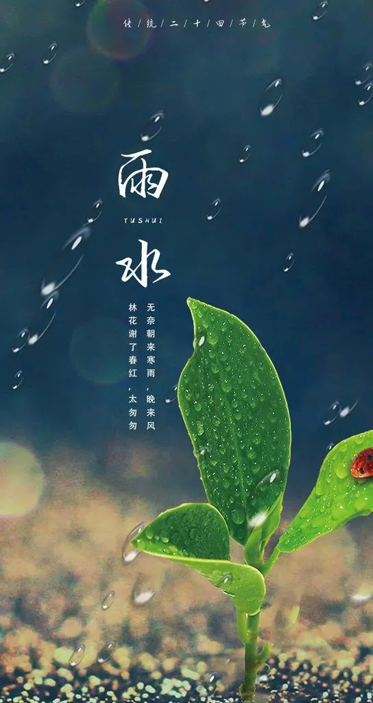 24节气 雨水图片