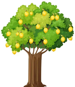 卡通柠檬果树图片
