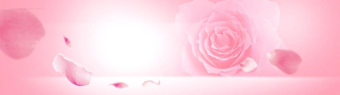花瓣背景图片(2268x709)psd模版下载