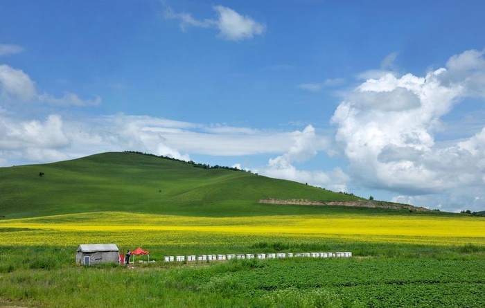 绿山蓝天图片