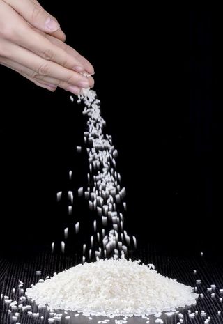手洒落大米粒图片