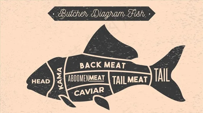 鱼剪影图片ai矢量模版下载