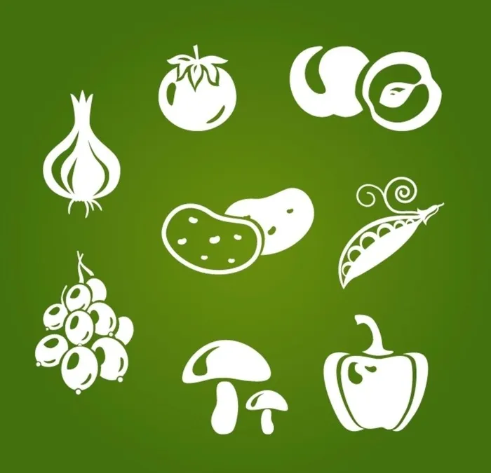 蔬果图片ai矢量模版下载