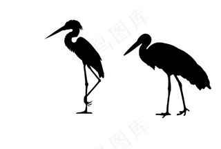 仙鹤 丹顶鹤 白鹭图片