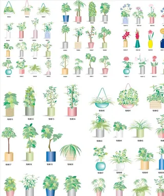 手绘花盆绿植图片