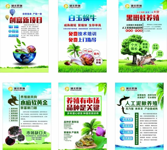 养殖图片