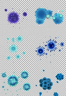 球状细胞细菌图片