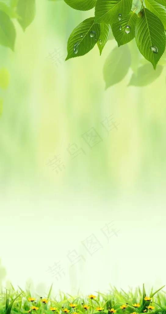 绿色背景图片psd模版下载