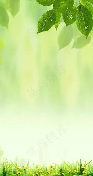 绿色背景图片 绿色背景图片