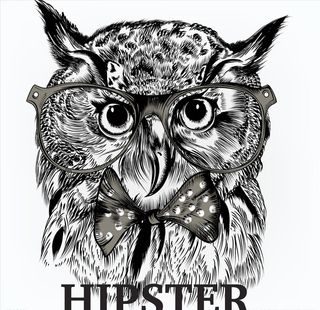 矢量猫头鹰图片