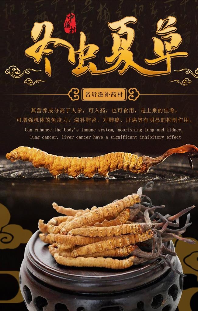 中药文化冬虫夏草海报图片