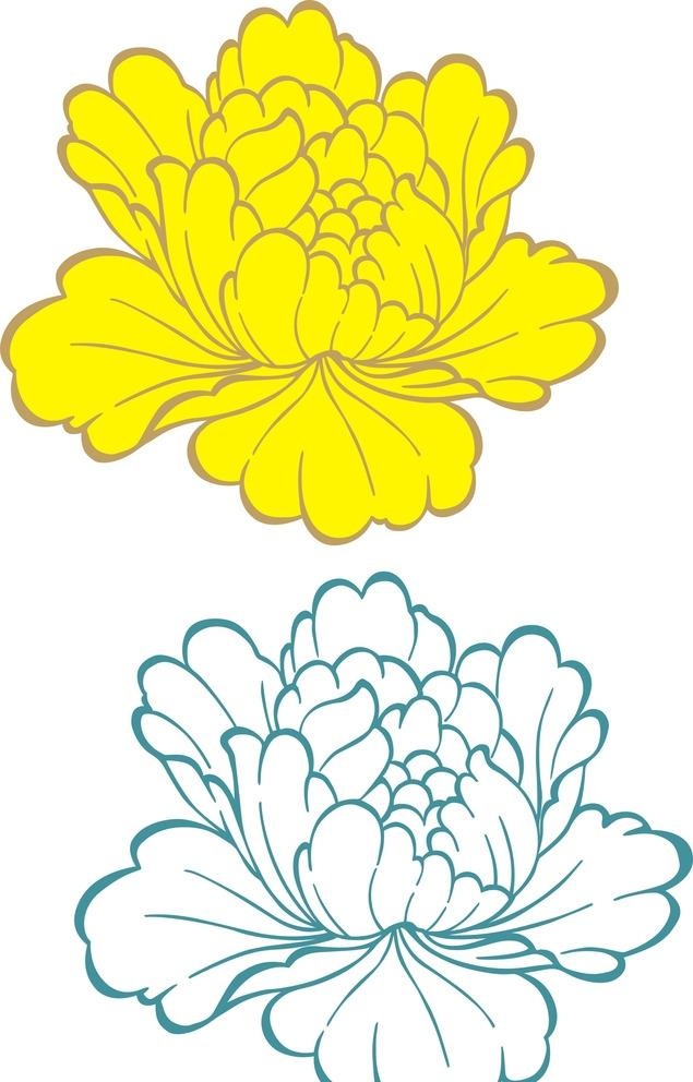 牡丹花线条图片