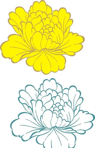 牡丹花线条图片