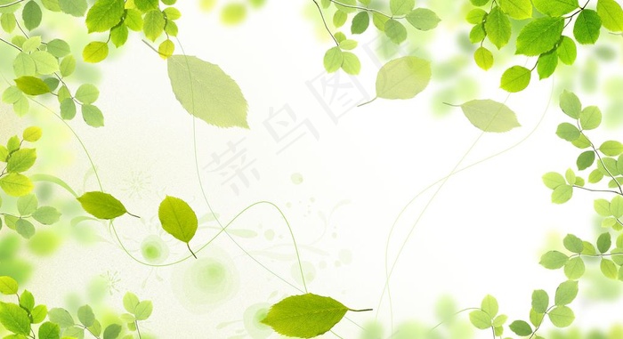 绿叶天空背景墙壁纸壁画图片(4000x2300)psd模版下载