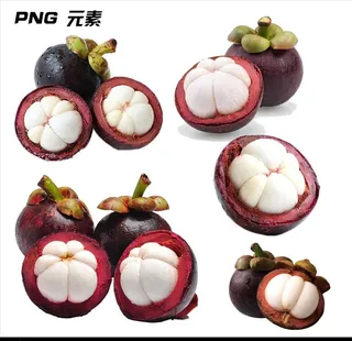 山竹免扣元素图片