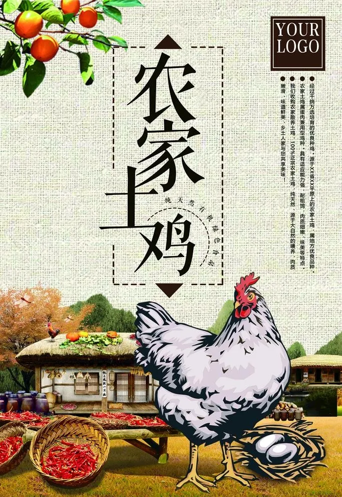 农家土鸡图片(3543x5315)psd模版下载