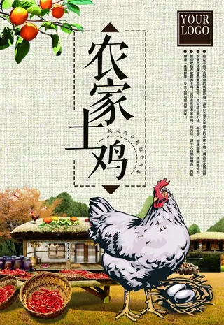 农家土鸡图片
