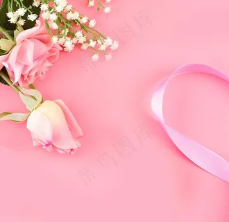 粉色玫瑰底图图片