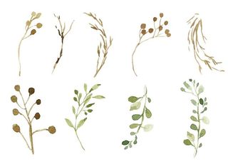 森系绿植 水彩 手绘 元素图片