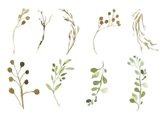 森系绿植 水彩 手绘 元素图片