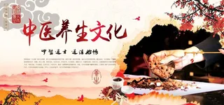 中医养生文化展板图片