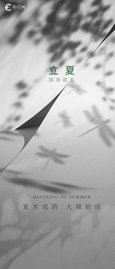 立夏图片(1181x2557)psd模版下载