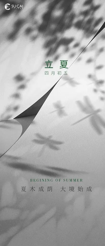 立夏图片(1181x2557)psd模版下载