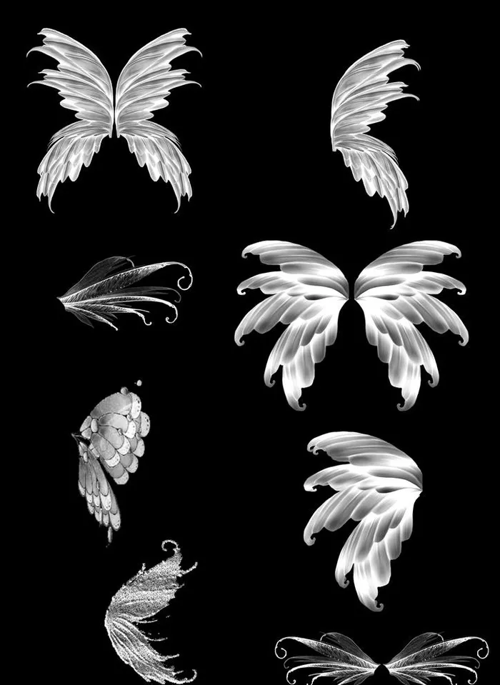 透明翅膀图片(2480x3508)psd模版下载