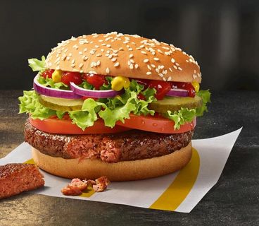 汉堡菜鸟图库片