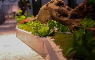 禅意静物插画图片