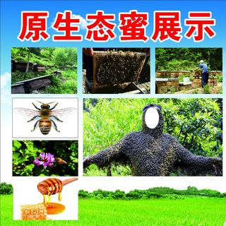 原生态蜂蜜图片