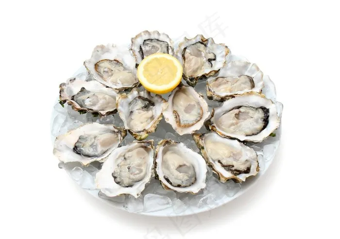 生蚝图片