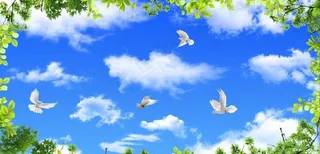 蓝天白云鸽子绿叶图片