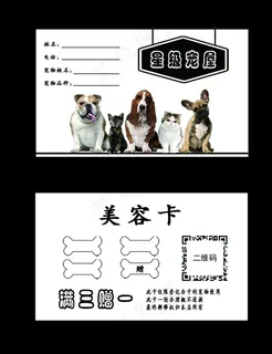 宠物卡图片 宠物卡图片