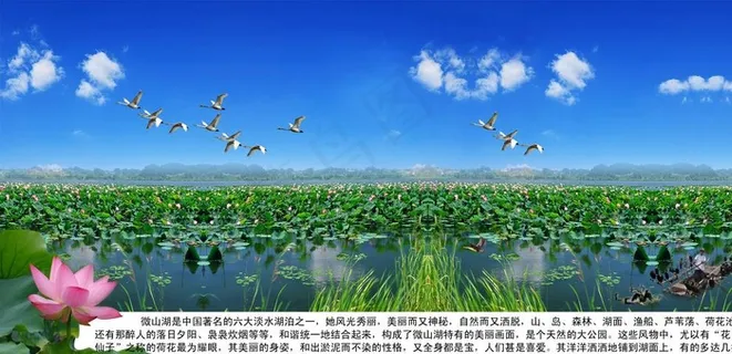 微山湖图片 微山湖图片