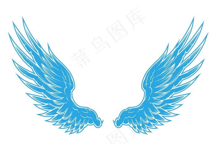 翅膀图片