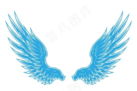 翅膀图片