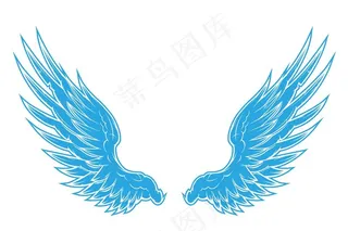 翅膀图片