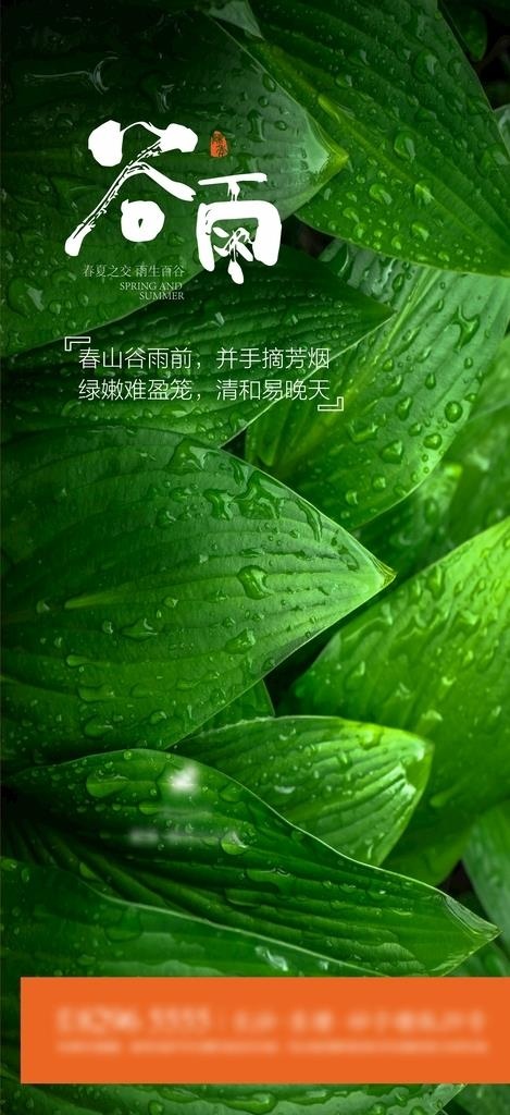 谷雨图片cdr矢量模版下载
