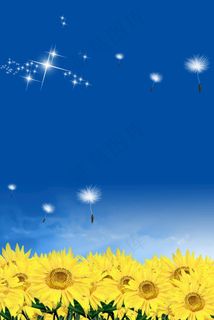 向日葵背景图片