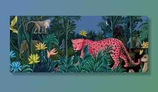 热带丛林动物插画图片