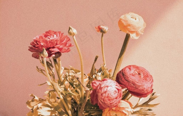 插花图片
