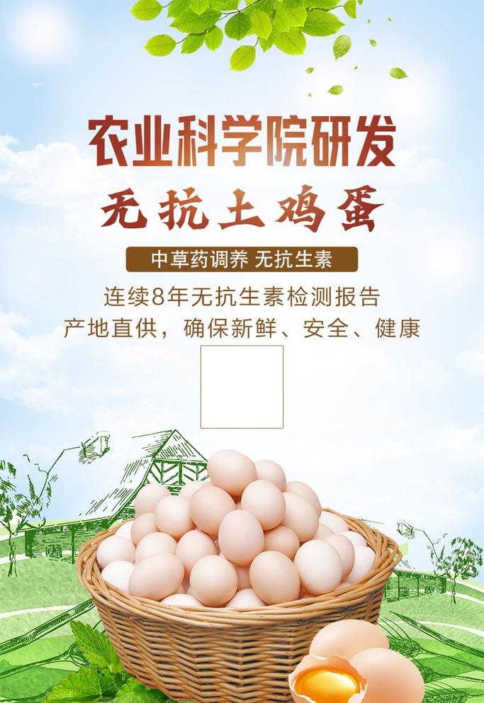 鸡蛋海报图片(3543x5315)psd模版下载