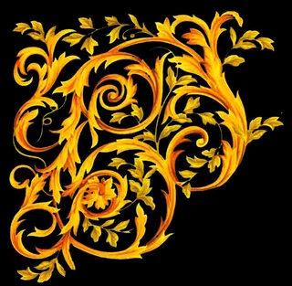 华丽金花边图片