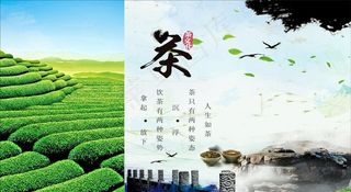 茶叶宣传广告图片