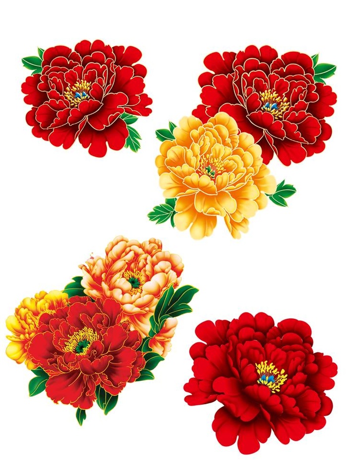牡丹花图片
